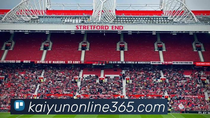 开云体育平台生态图