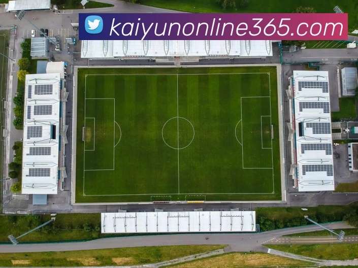 开云体育APP 封面图